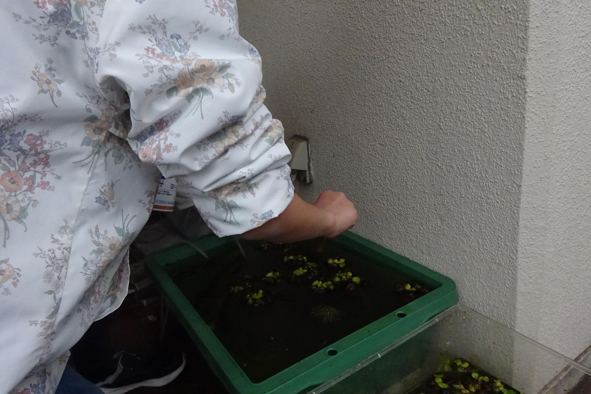 2026年4月_いきものがかりの様子4