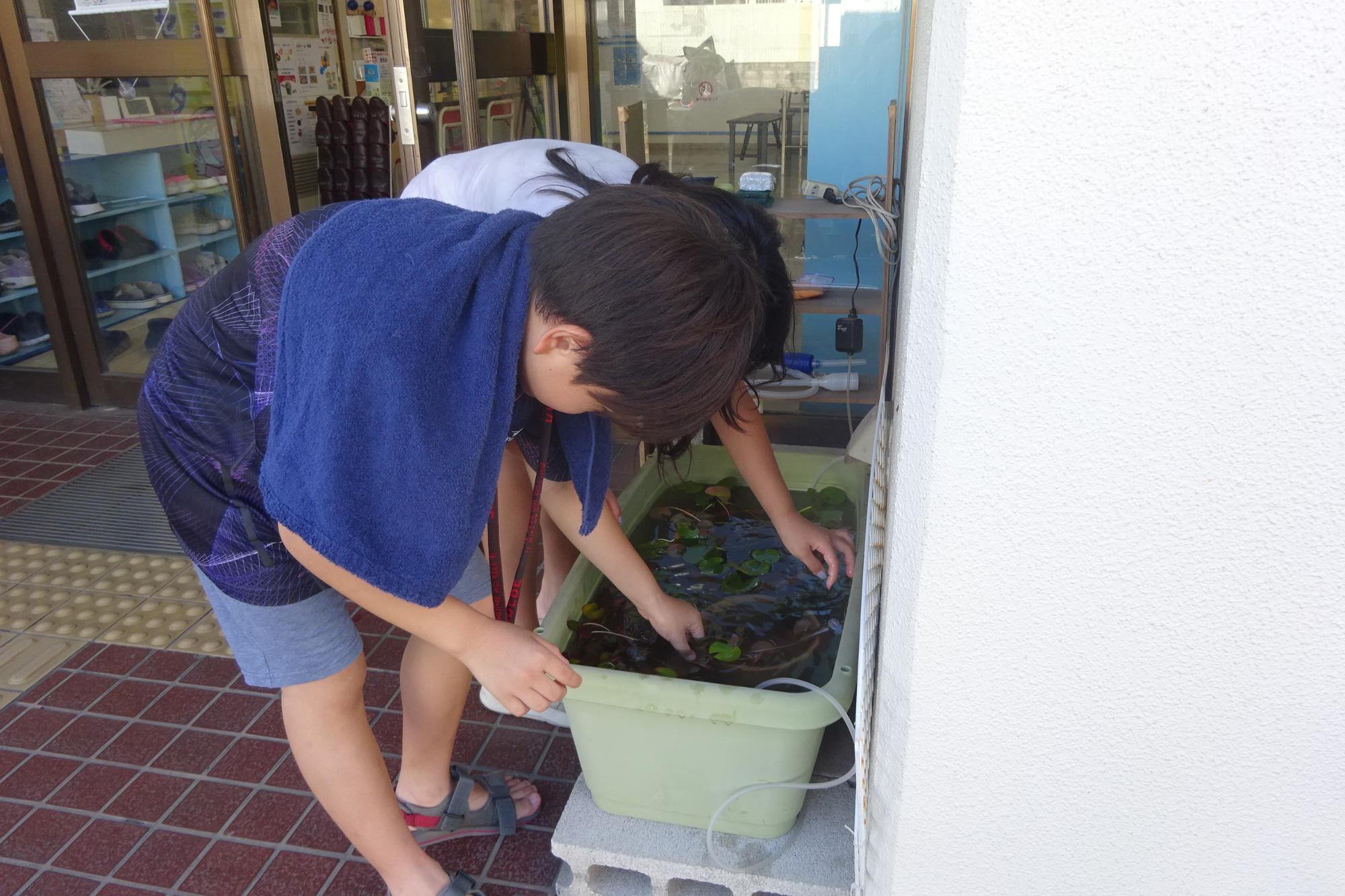 いきものがかり俱楽部