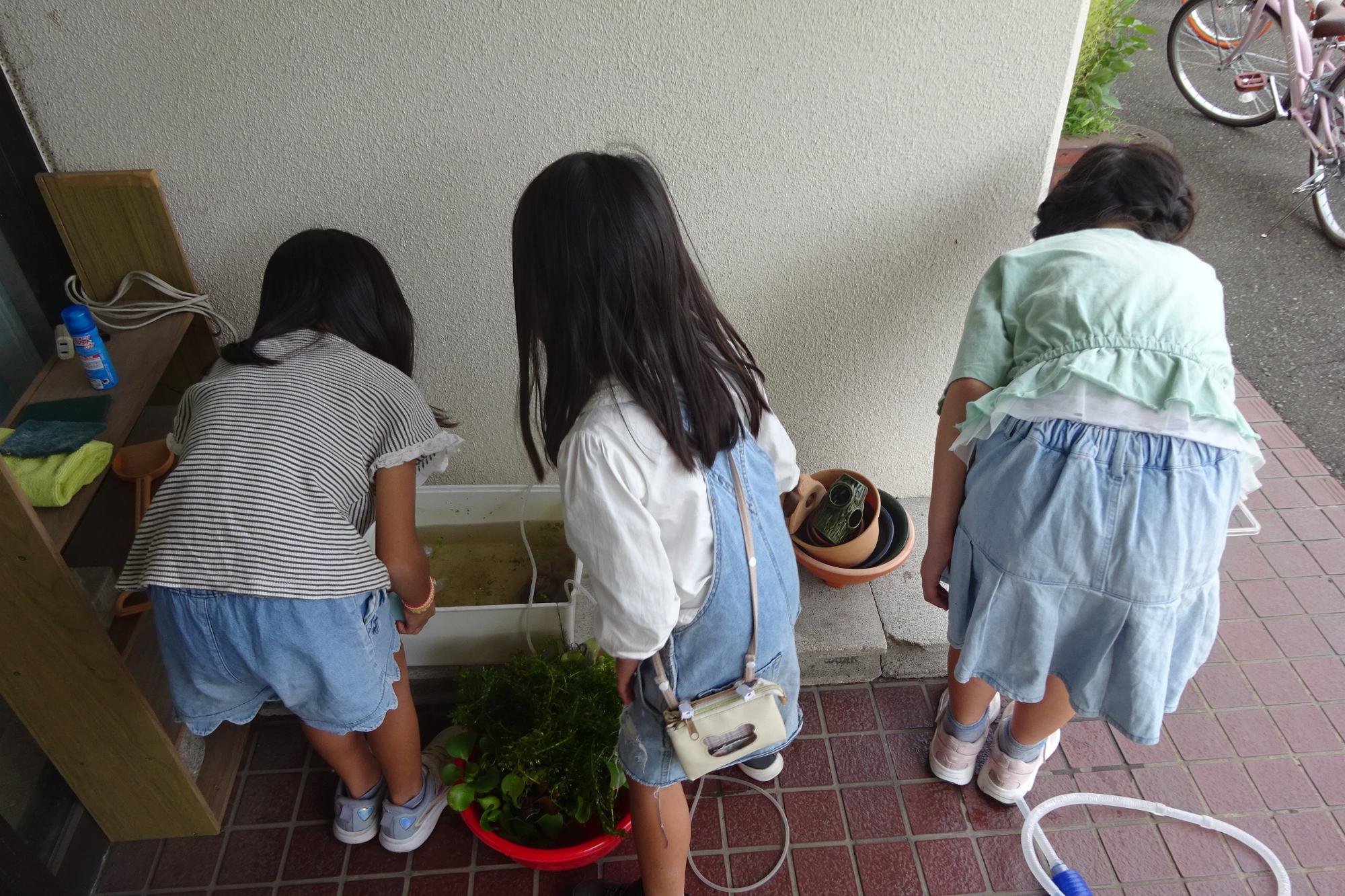 いきものがかり俱楽部