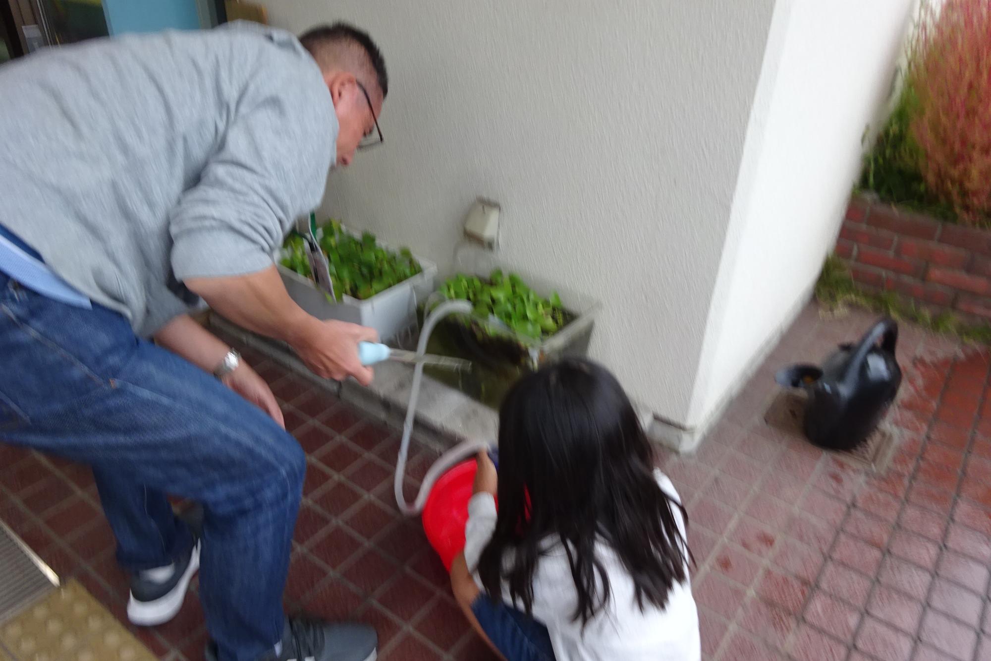 いきものがかり俱楽部