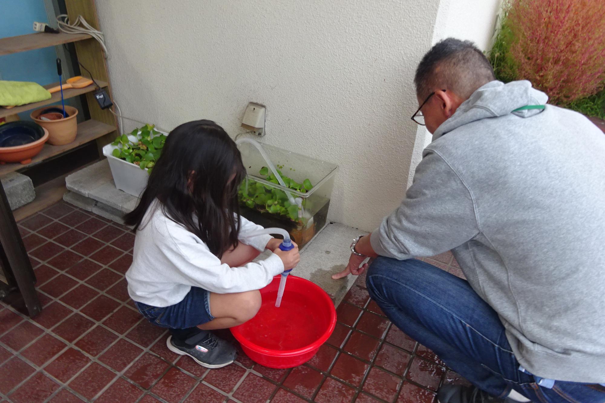 いきものがかり俱楽部