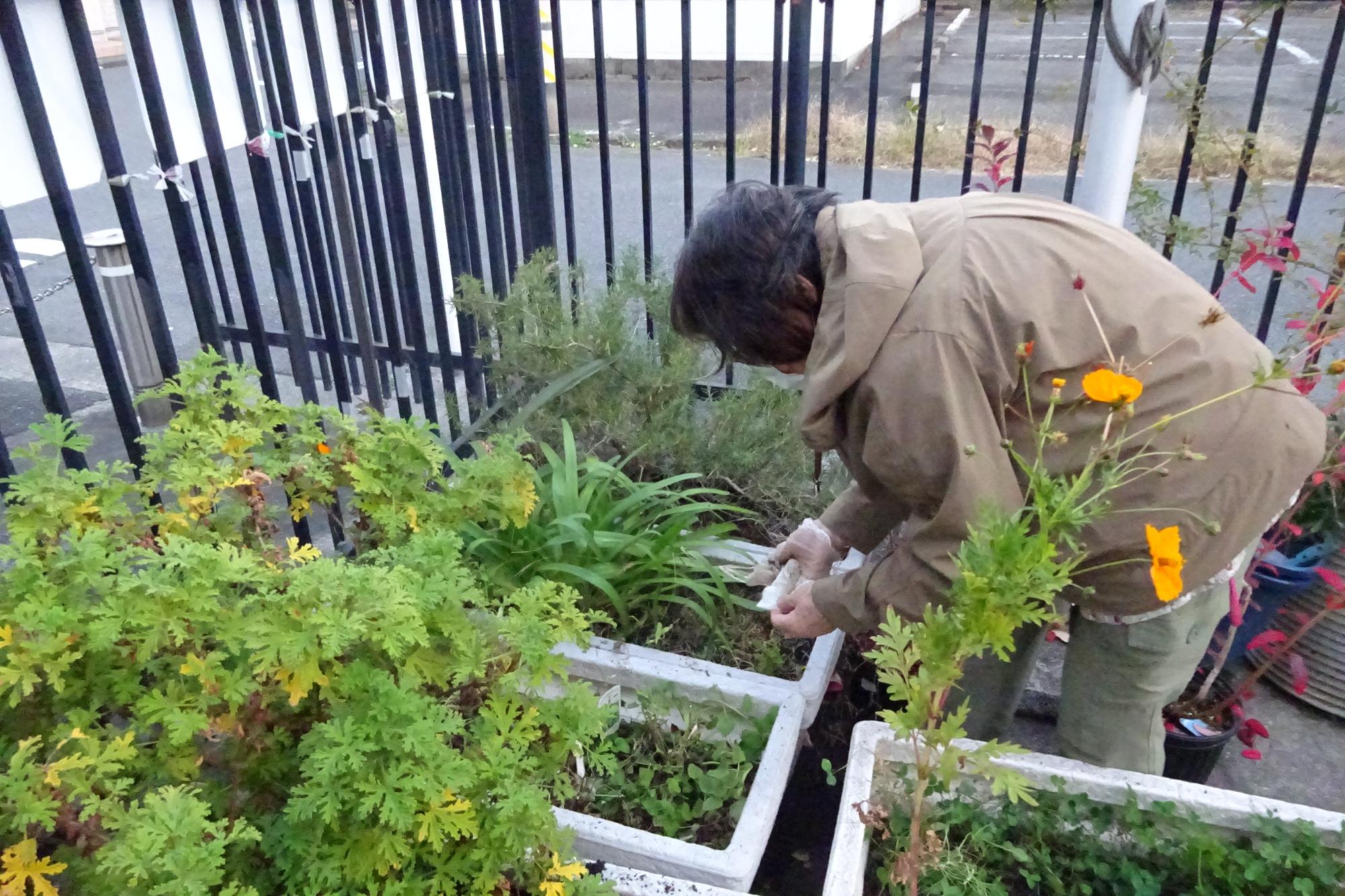 ガーデニングの様子