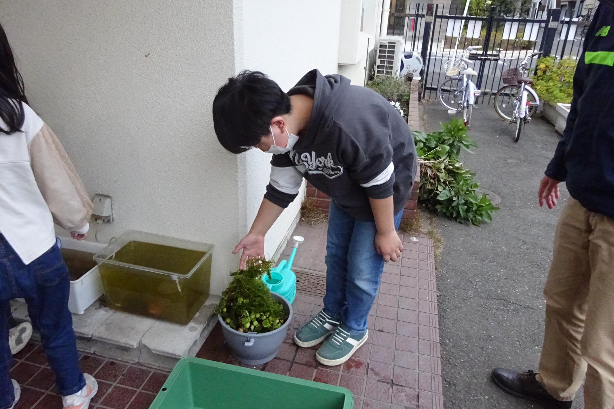 いきものがかり俱楽部