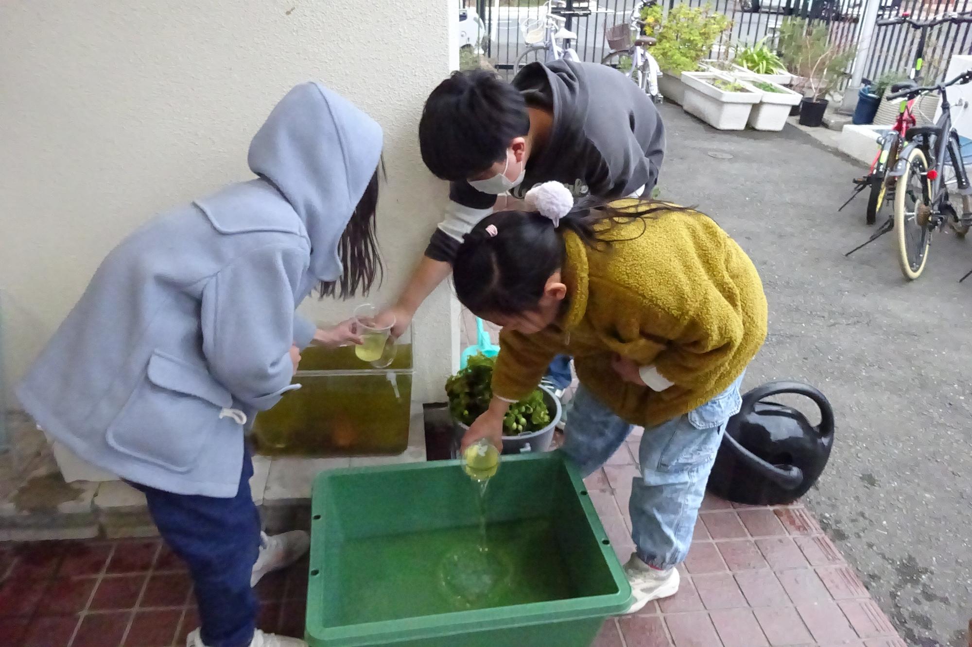 いきものがかり俱楽部