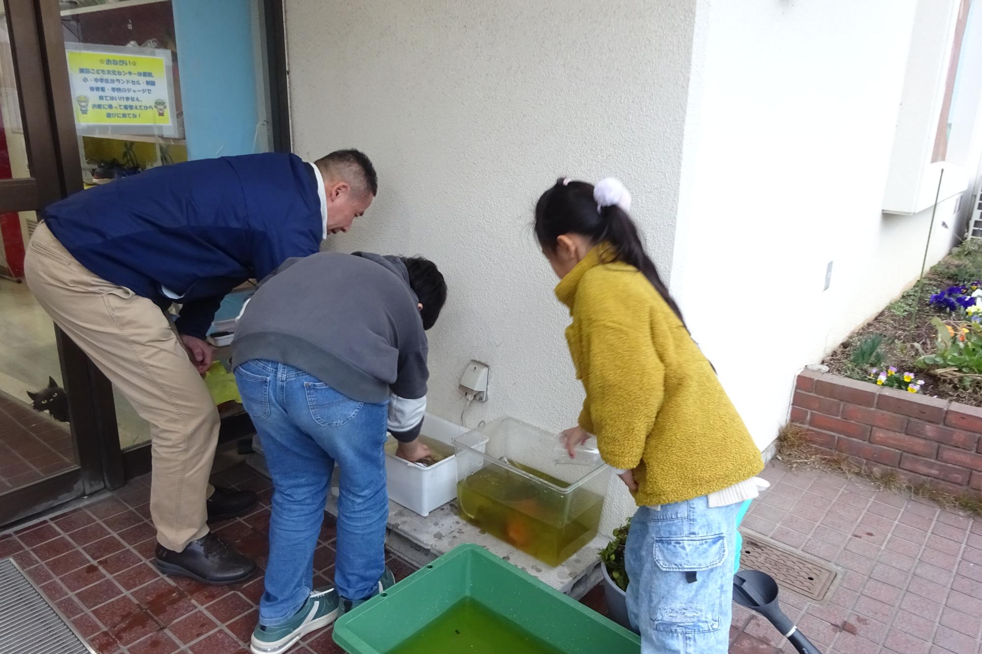 いきものがかり俱楽部