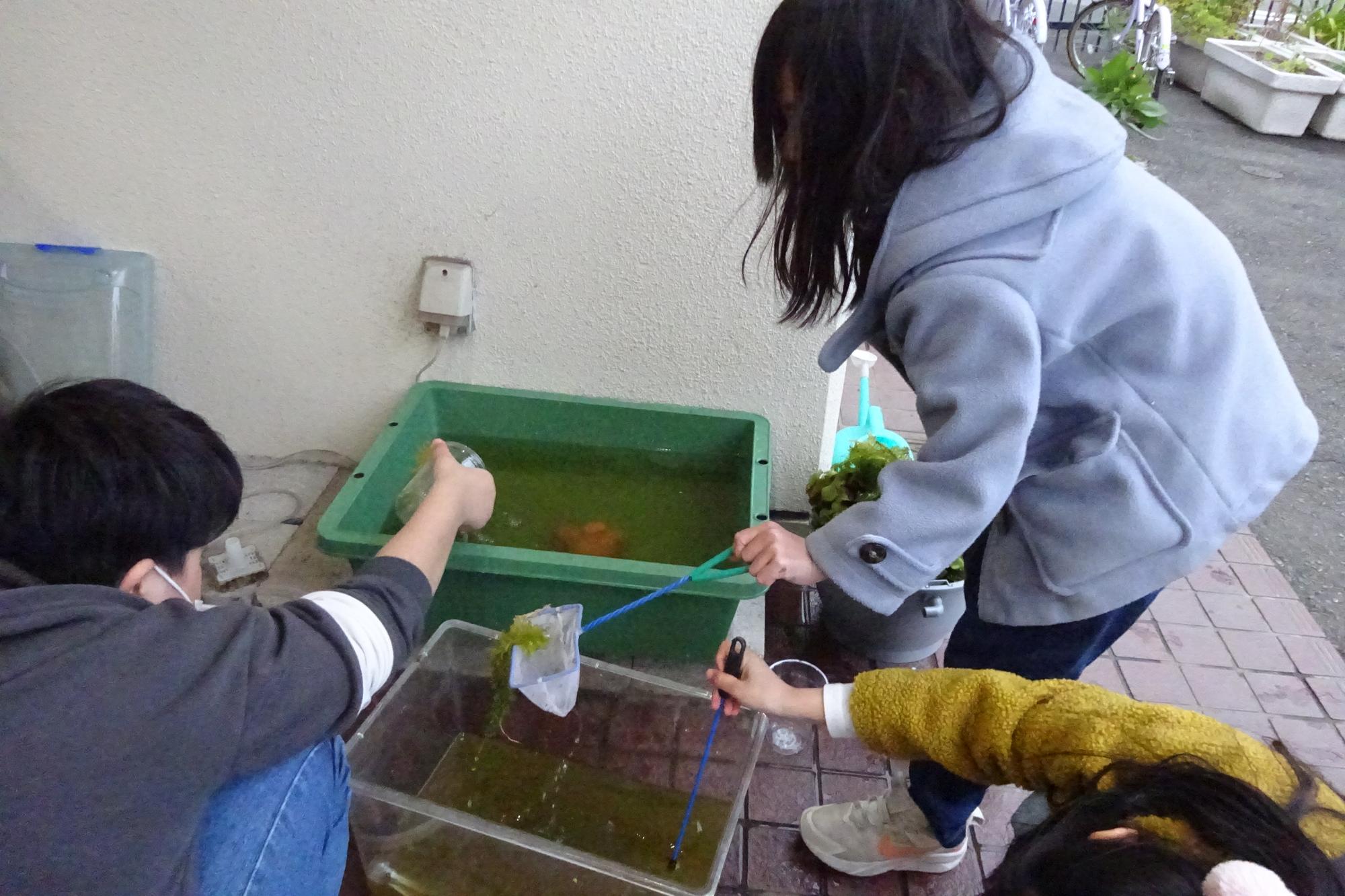 いきものがかり俱楽部