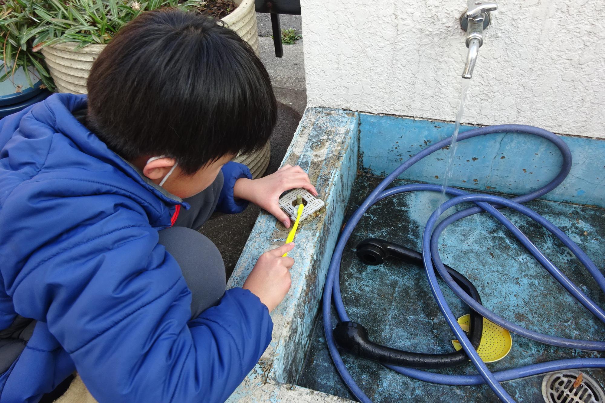 いきものがかり俱楽部