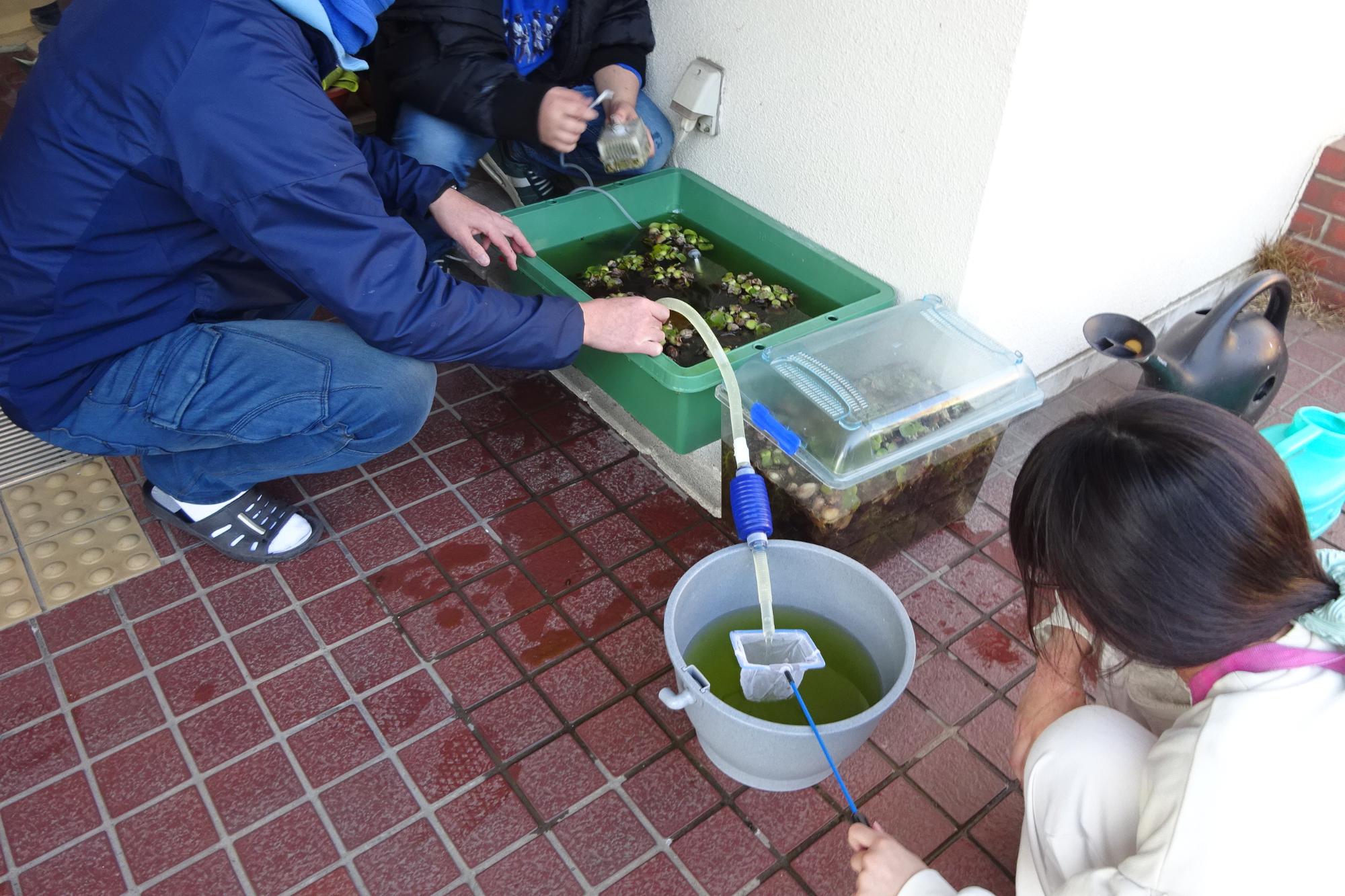 いきものがかり俱楽部