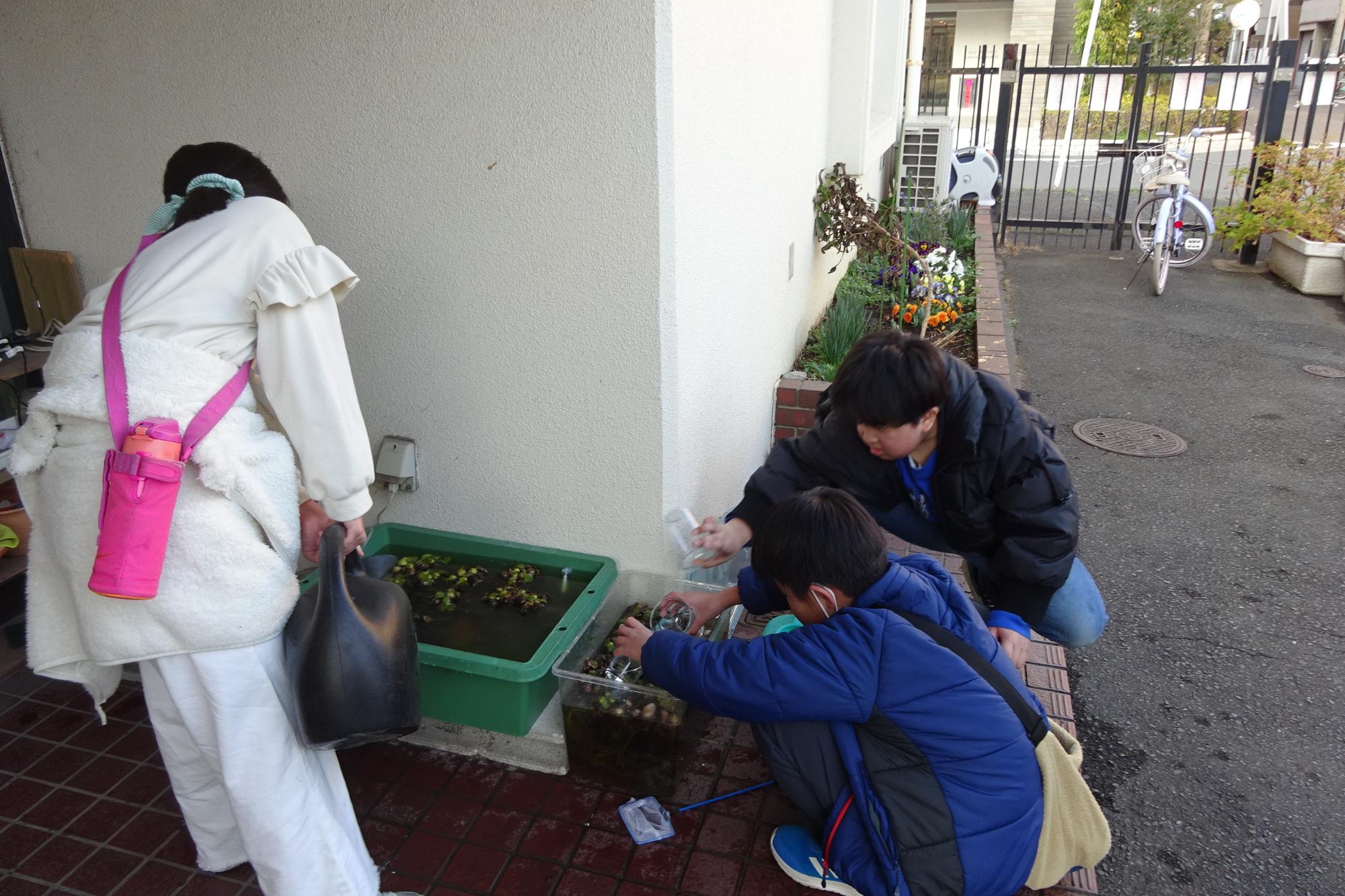 いきものがかり俱楽部