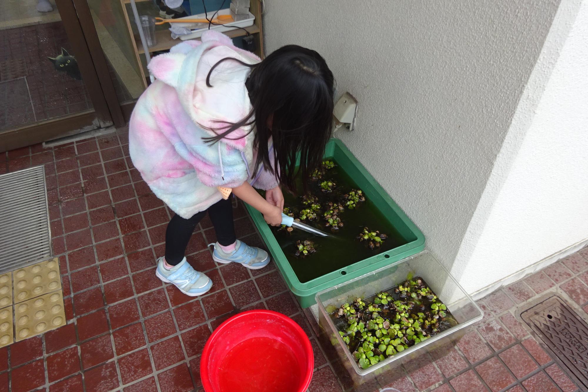 いきものがかり俱楽部