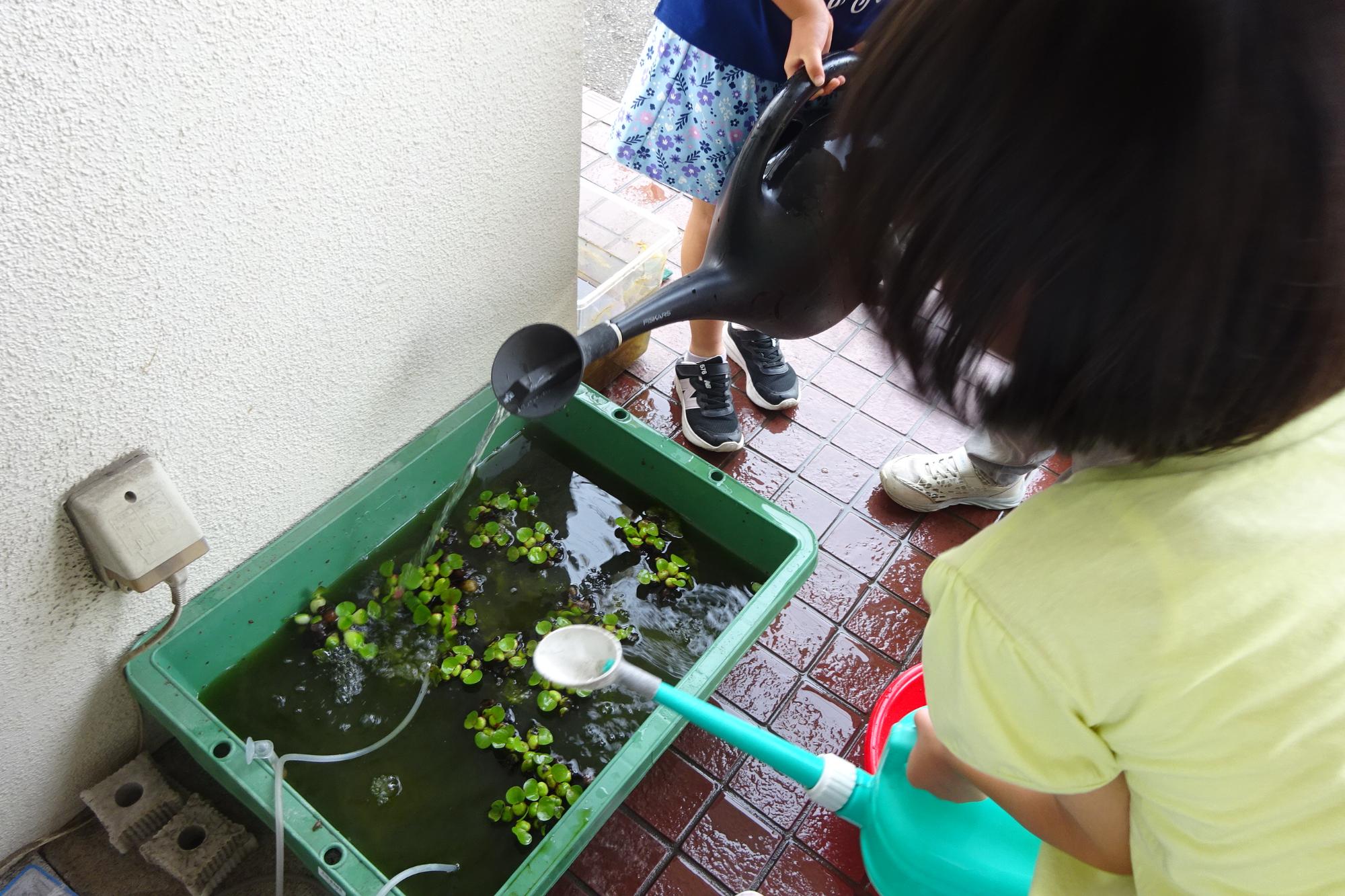 2026年5月_いきものがかり倶楽部の様子1