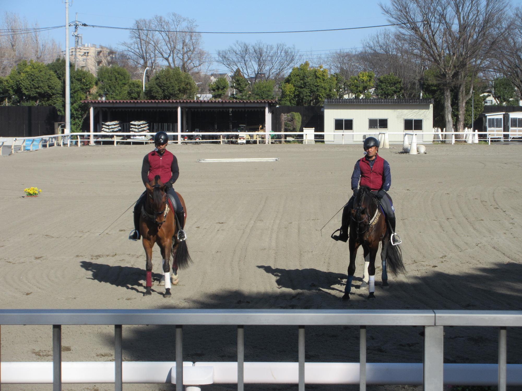 ホースショーの様子