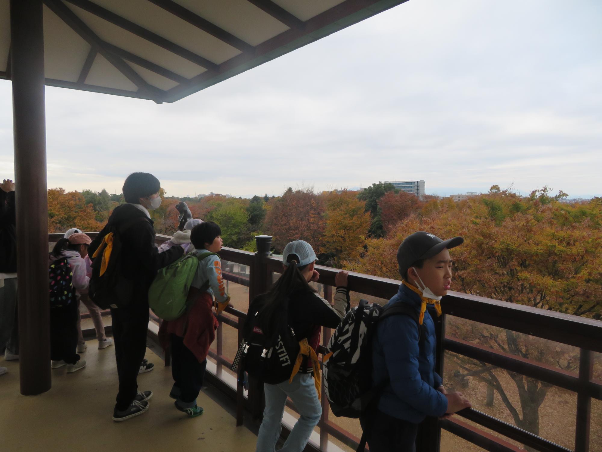 展望台からの景色を楽しんでいる写真