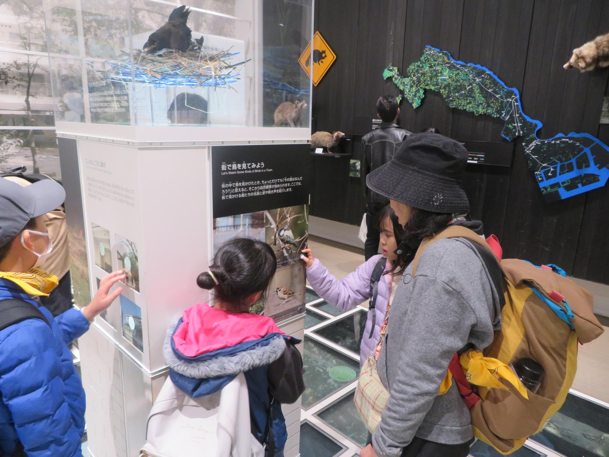 展示を観察している写真