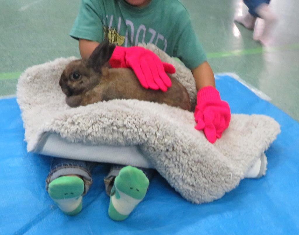 ウサギを膝にのせたこどもの写真