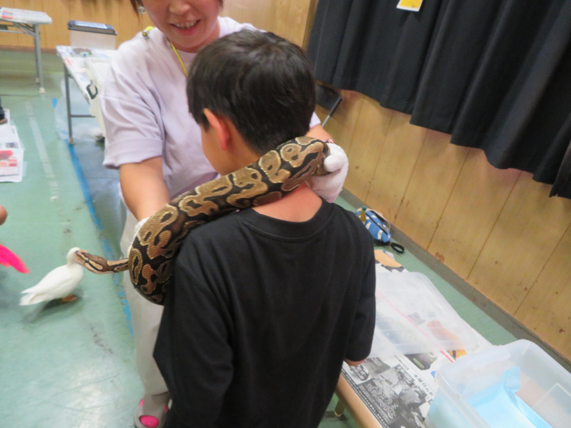 蛇を首に巻くこどもの写真