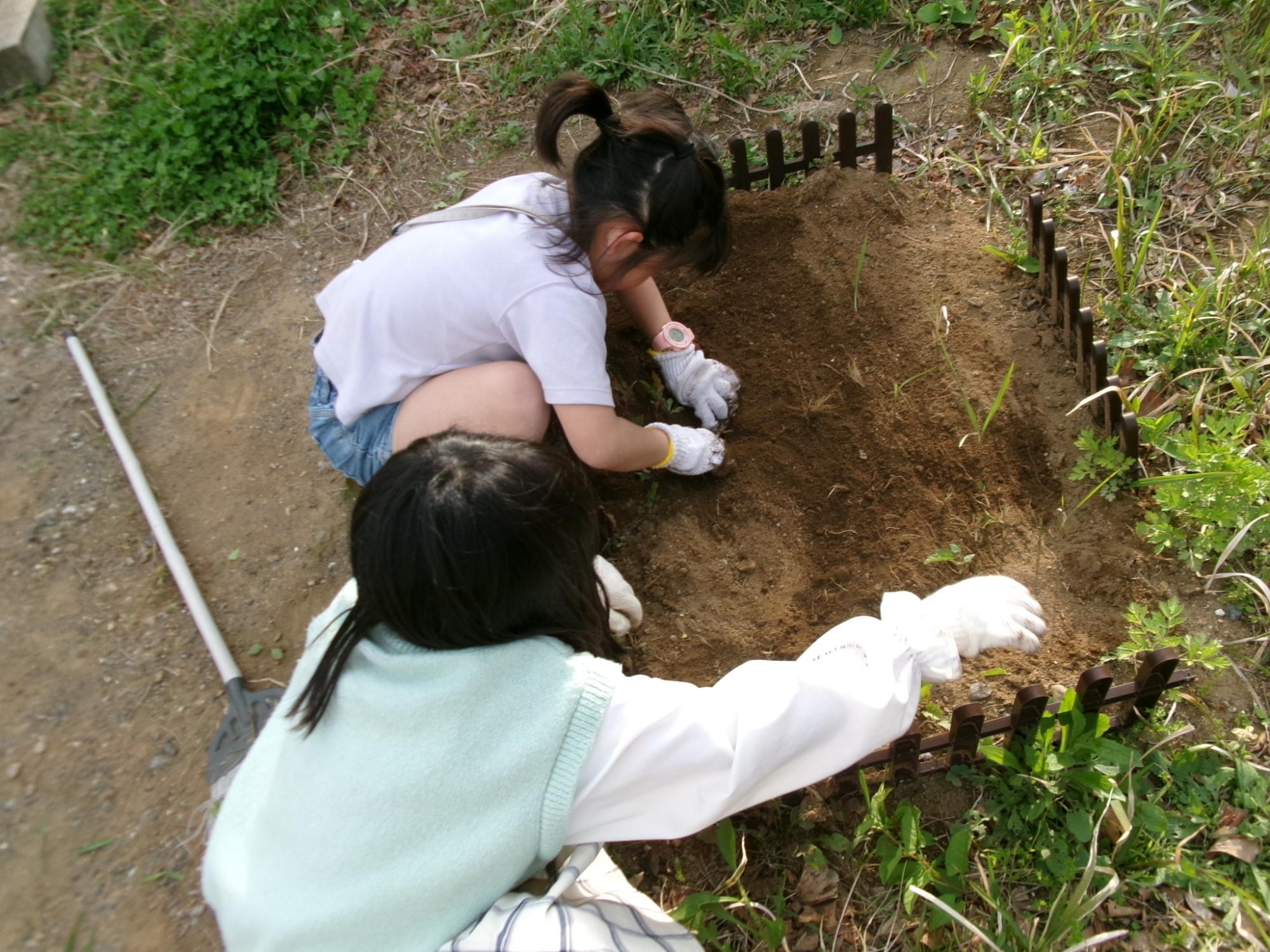 庭の一角にある茶色の小さな柵で仕切られた花壇の手入れをしている2人の女の子たちの写真
