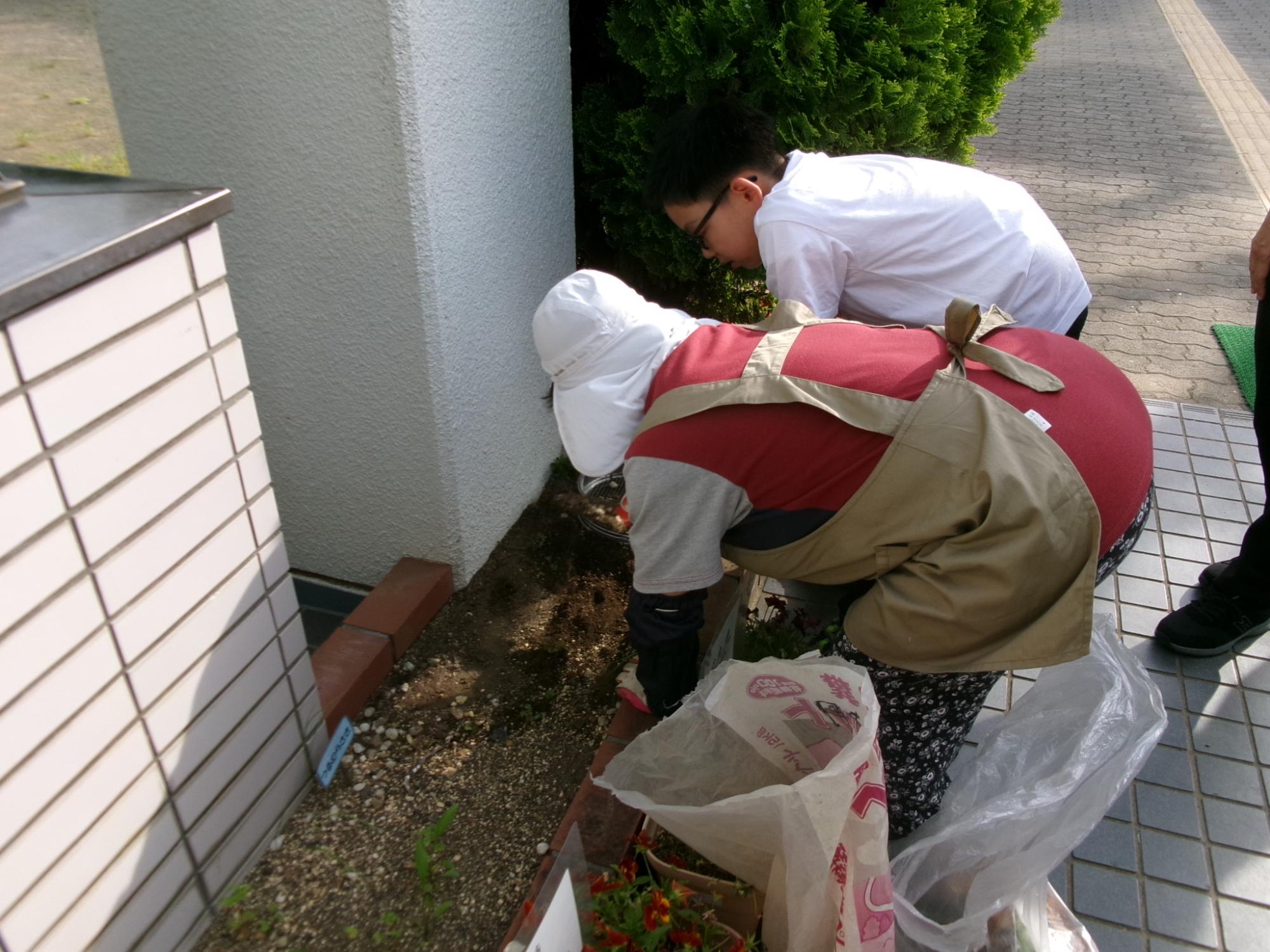 小学生