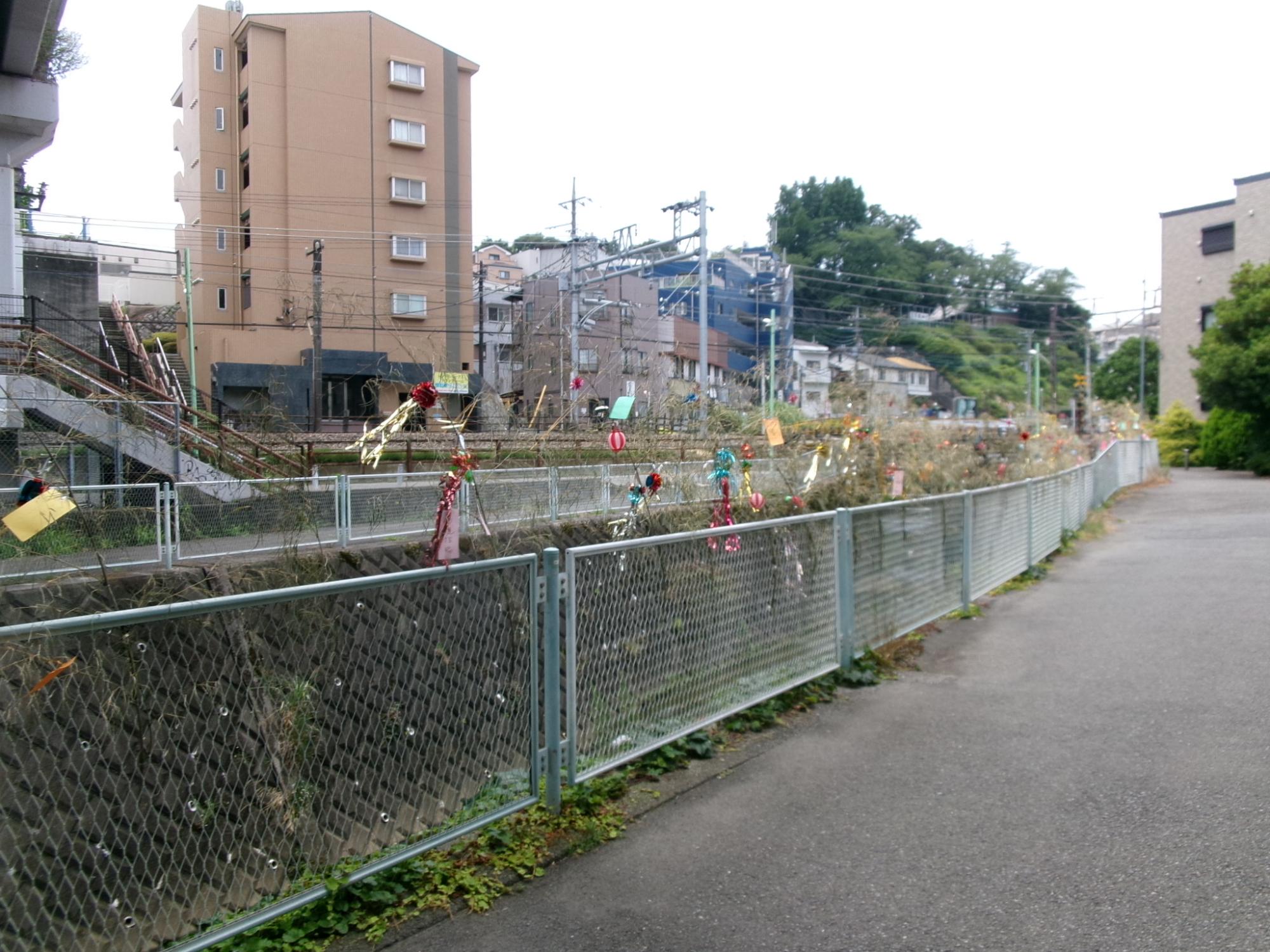 五反田川に飾られている笹や短冊、七夕飾りの写真