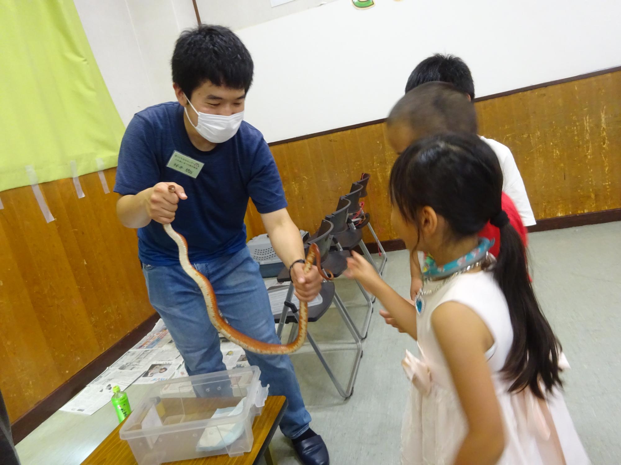 ヘビと子どもたちのふれあい写真