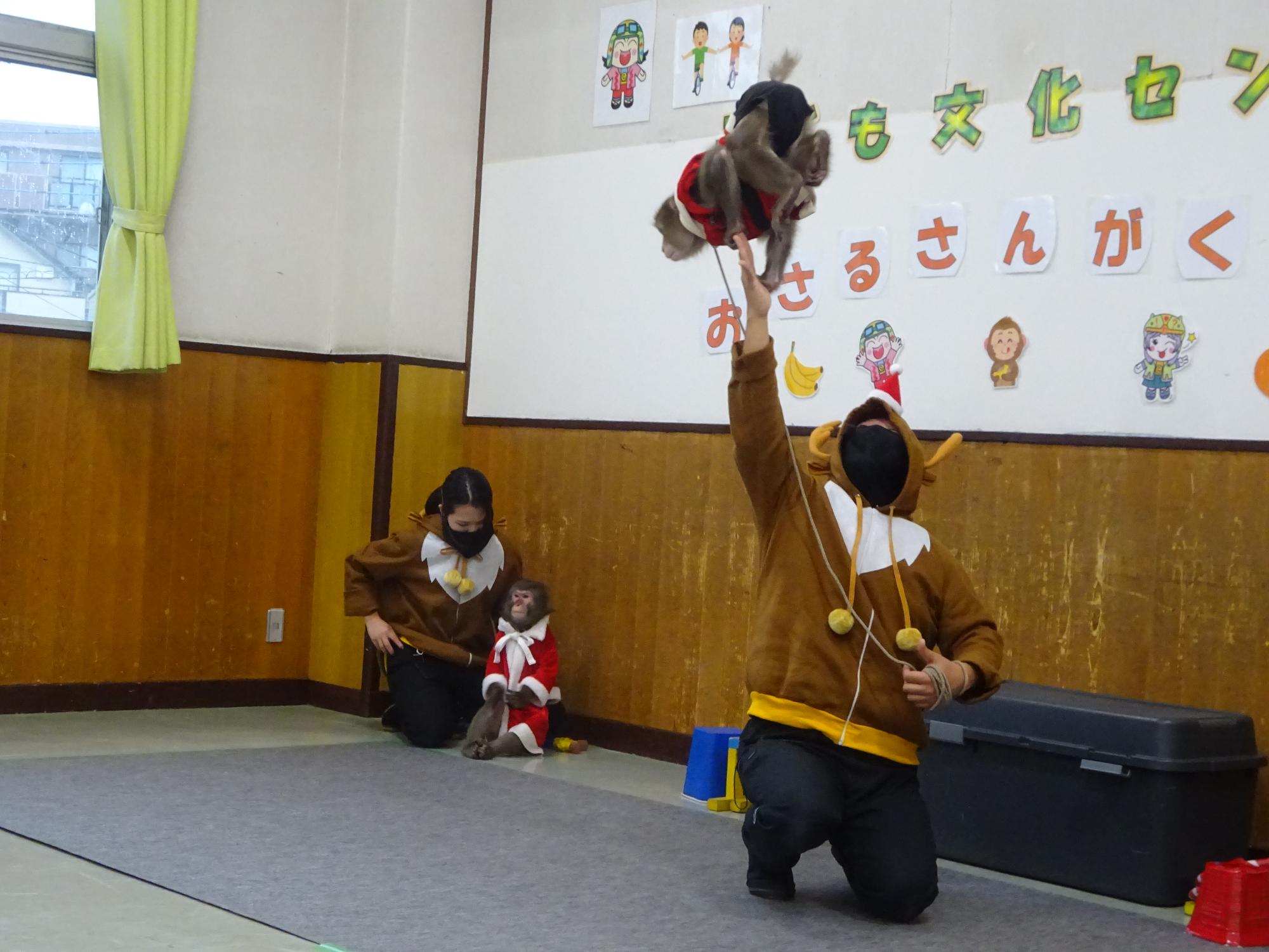 おさるさんが手の上で逆立ちしている様子