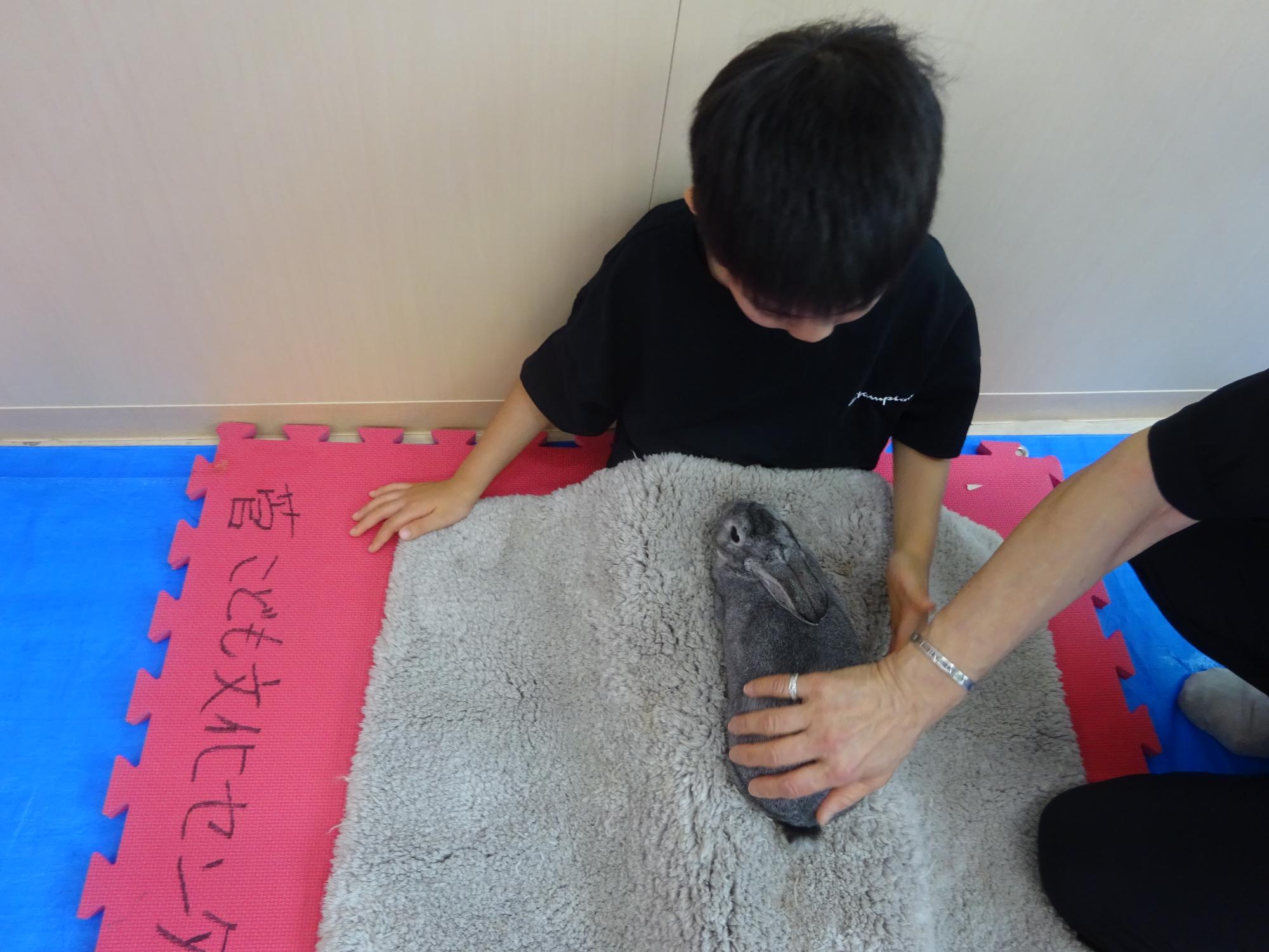 ウサギを触っている子どもの写真