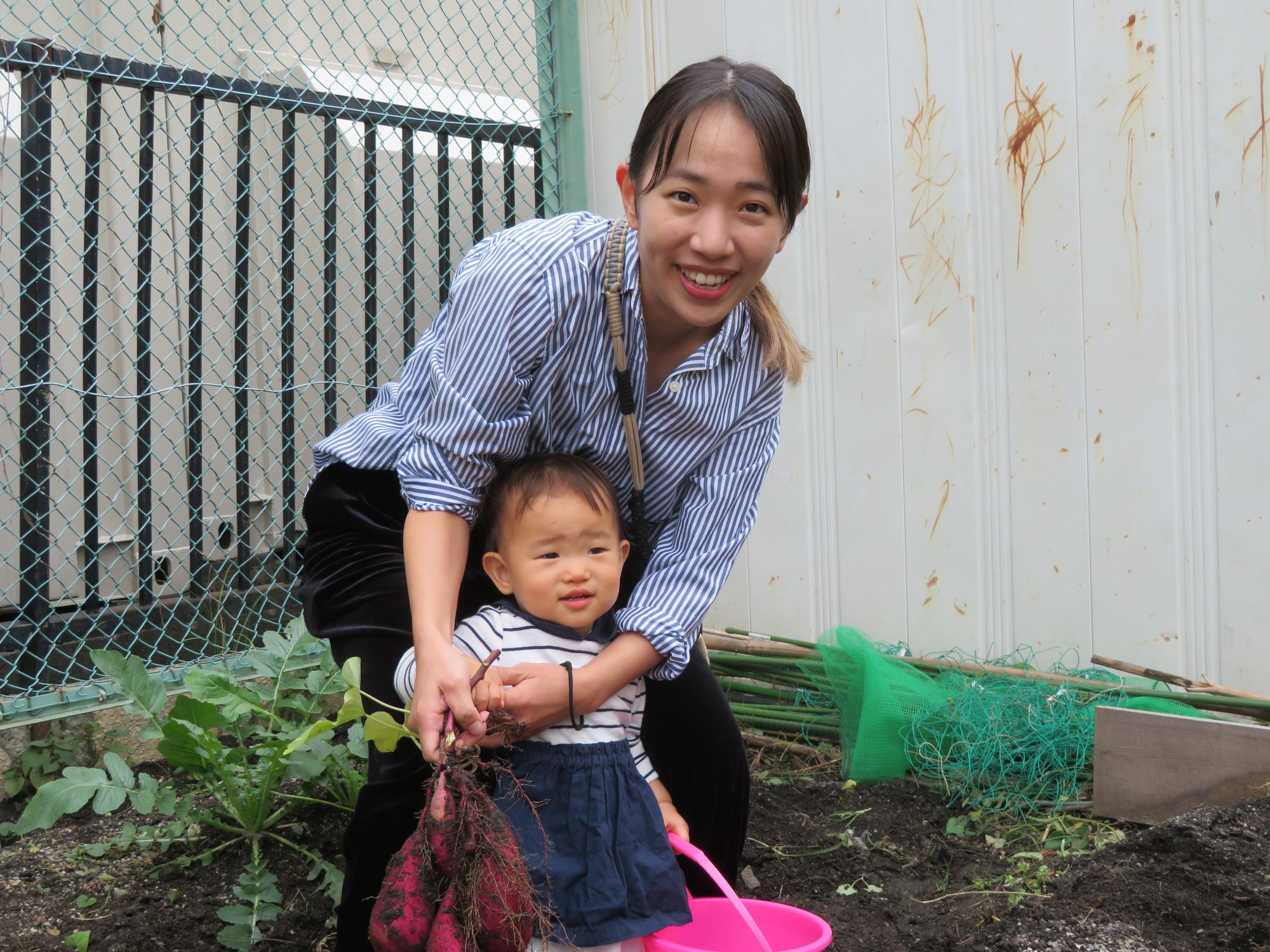 さつまいも掘りの写真