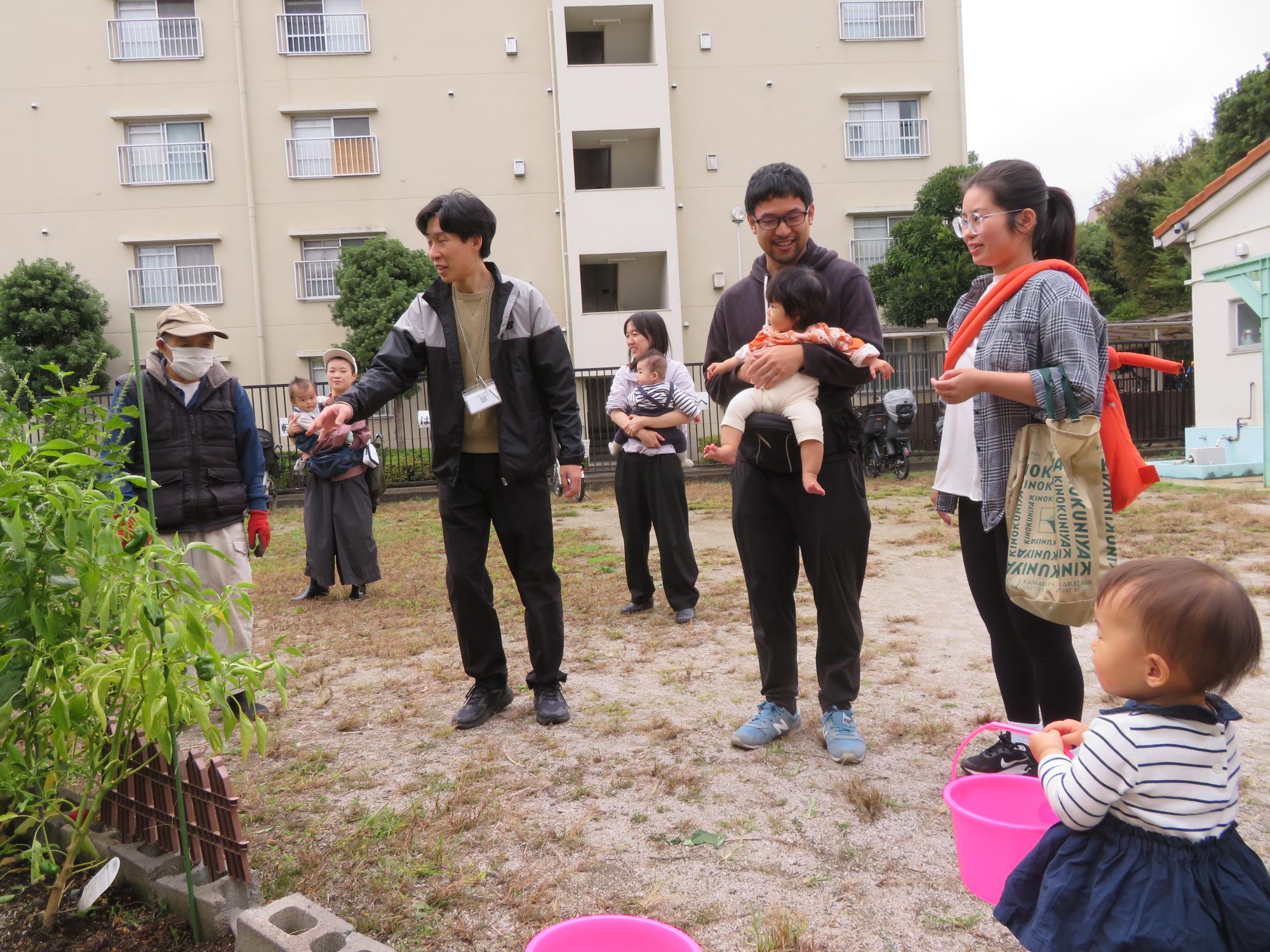 さつまいも掘りの写真