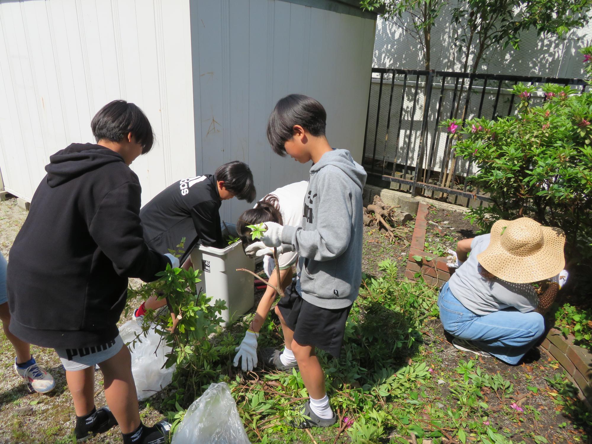 近隣の中学校に通う中学生が庭の剪定作業を手伝ってくれている様子の写真