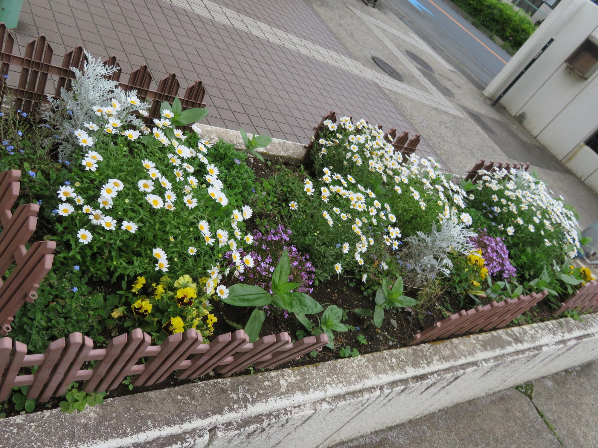 中野島こども文化センターの入口にある花壇の写真