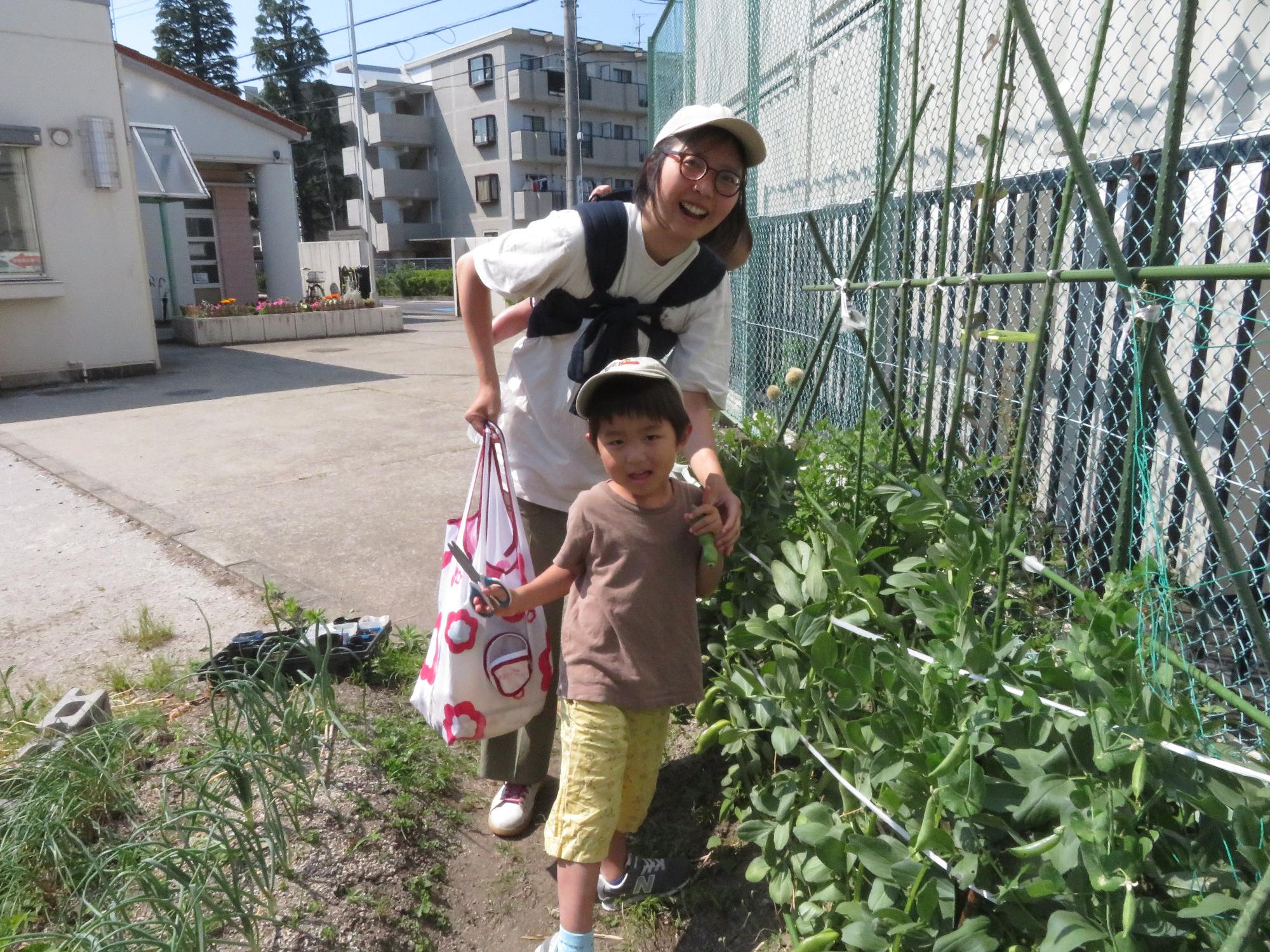 そら豆を収穫した親子の写真