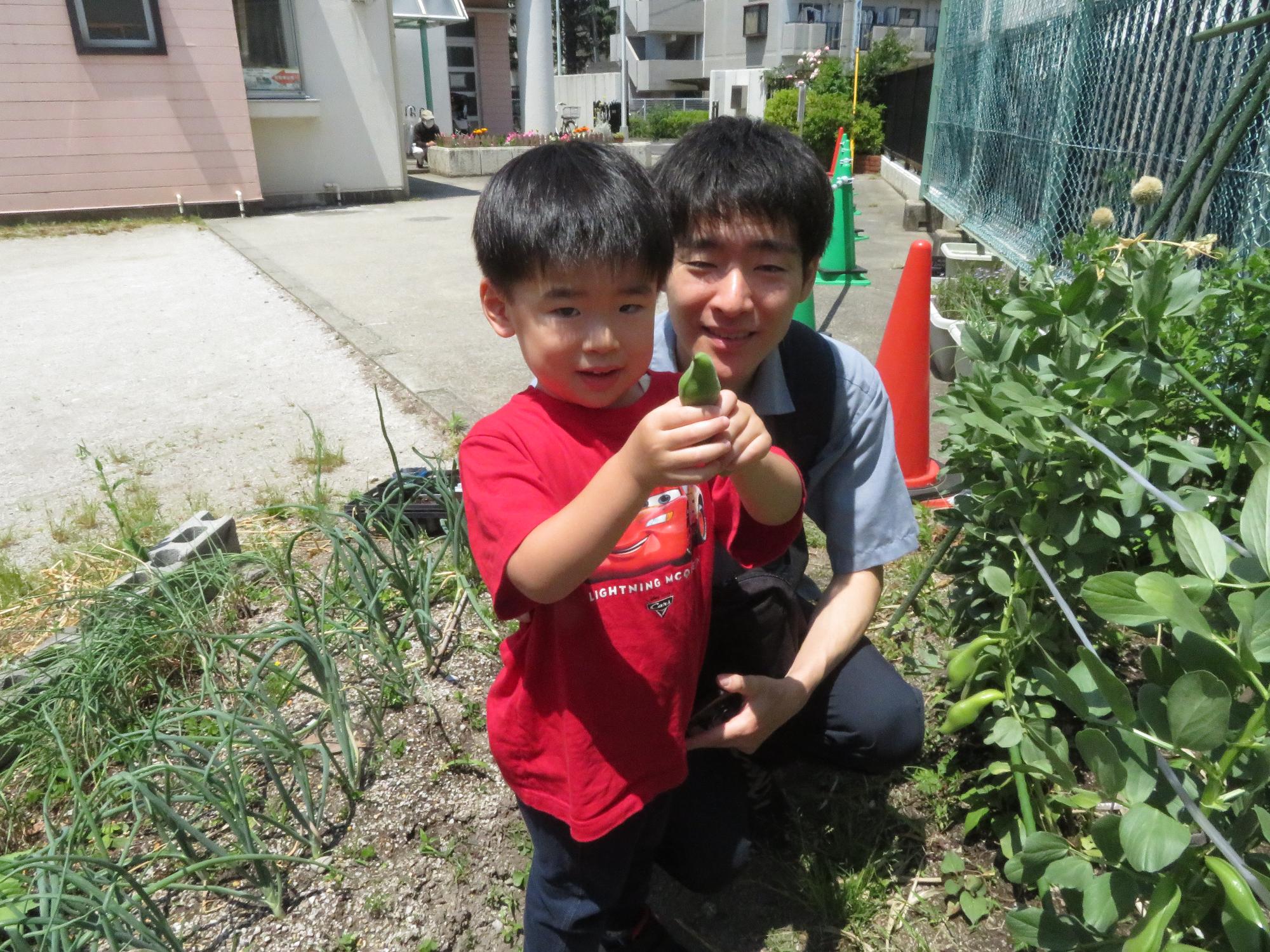 そら豆を収穫した親子の写真
