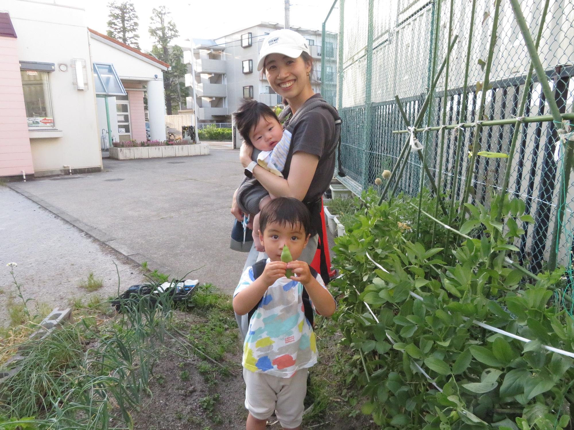 そら豆を収穫した親子の写真