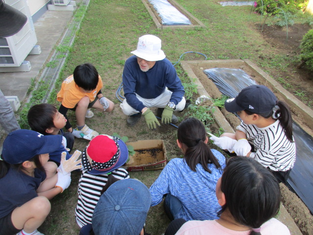 みなみっこ農園