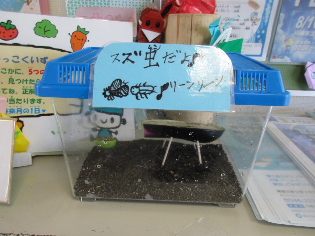 ひとコマ