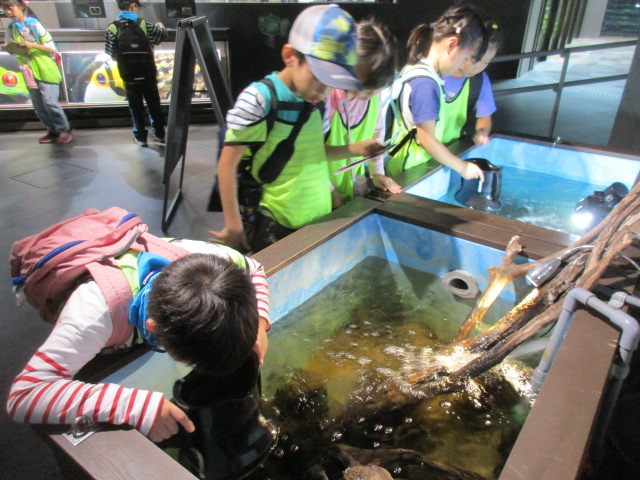 川崎水族館遠足箱メガネをのそいている写真