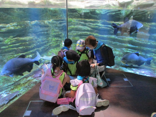 川崎水族館遠足ワークシートをやっている写真