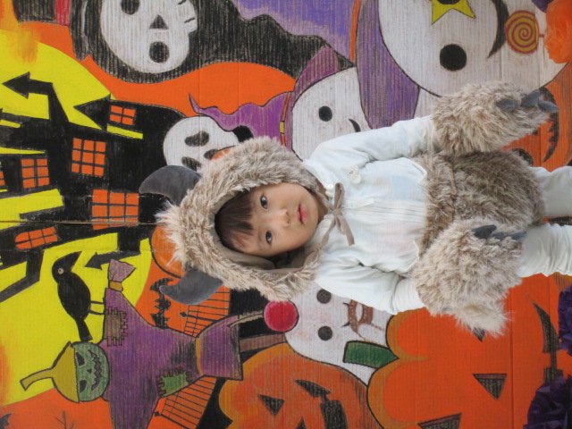 ひとコマの写真