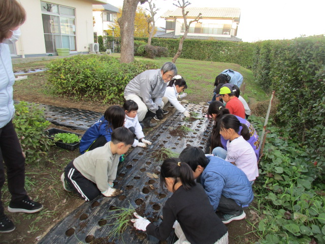 ベジッコみなみの写真