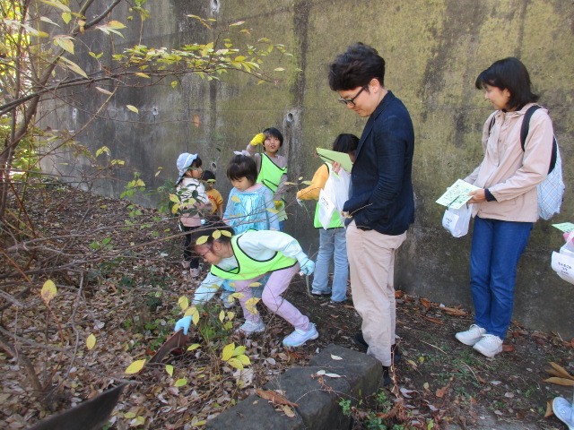 公園清掃行事の写真