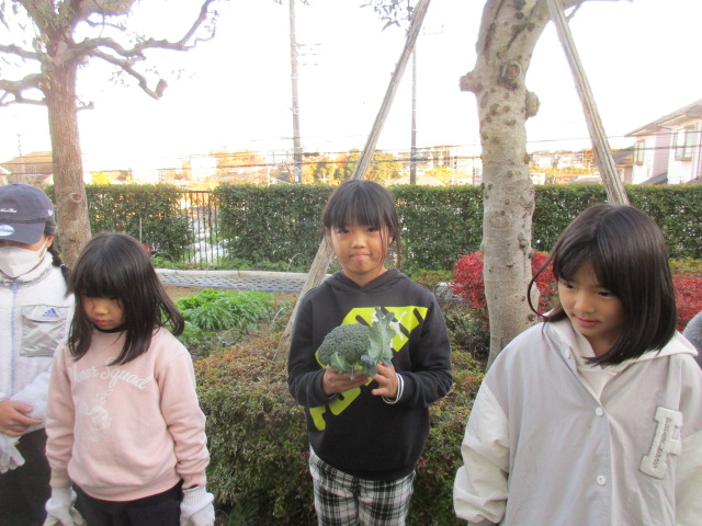 ベジッコみなみの写真