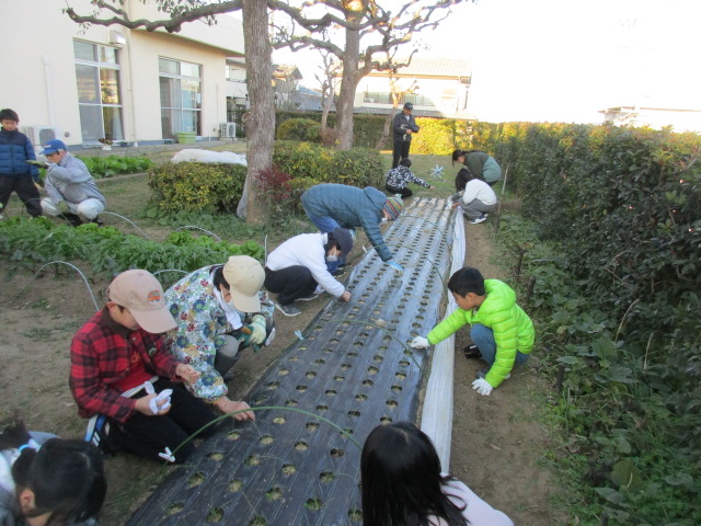 ベジッコみなみの写真