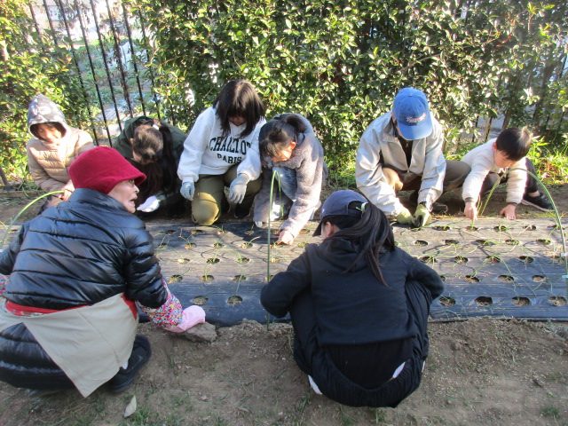 ベジッコみなみの写真