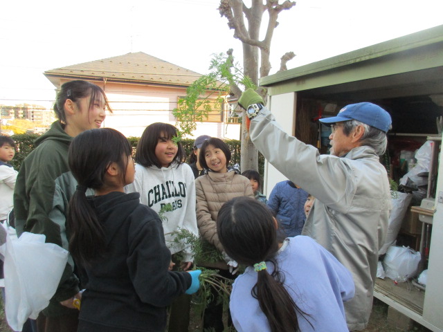 ベジッコみなみの写真