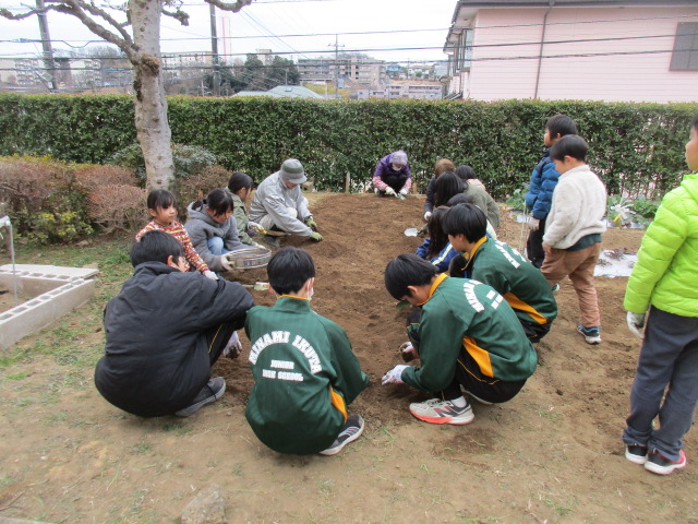 ベジッコみなみの写真