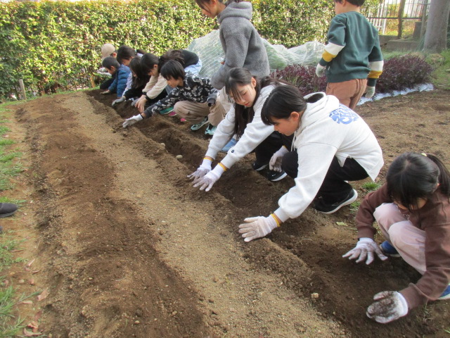ベジッコみなみの写真