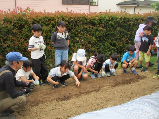 家庭菜園のような場所で、帽子をかぶった保護者や子どもたちが黒いビニールがされて穴の開けられた畝に白いじょうろで水をあげている写真