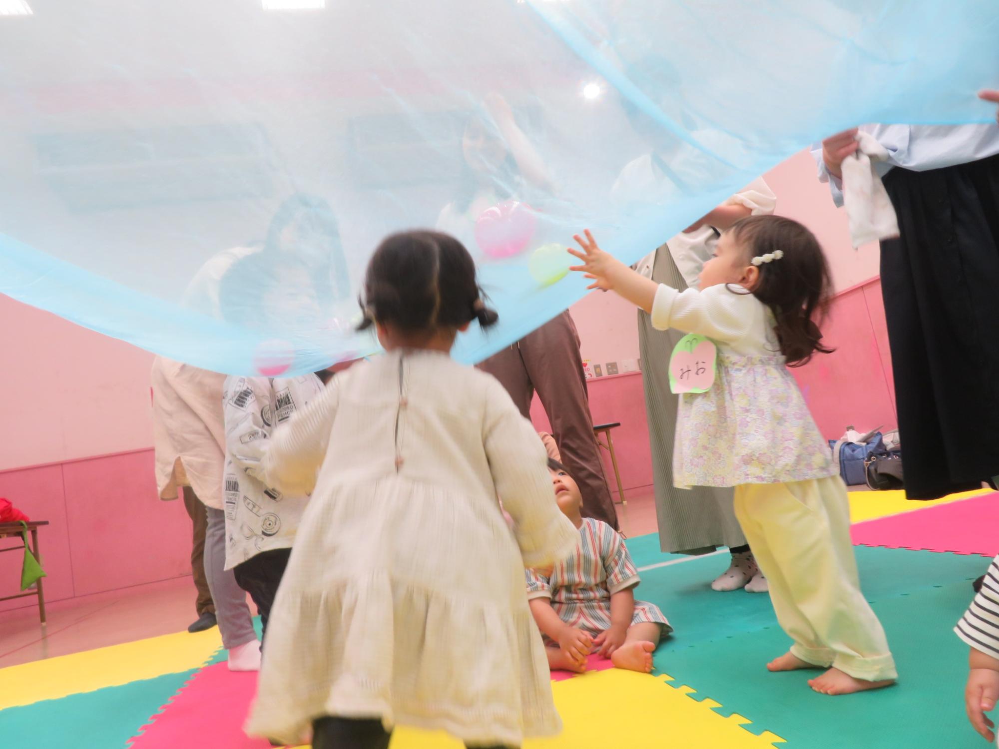 大きなスカーフの下で上を見上げて遊ぶ幼児の様子