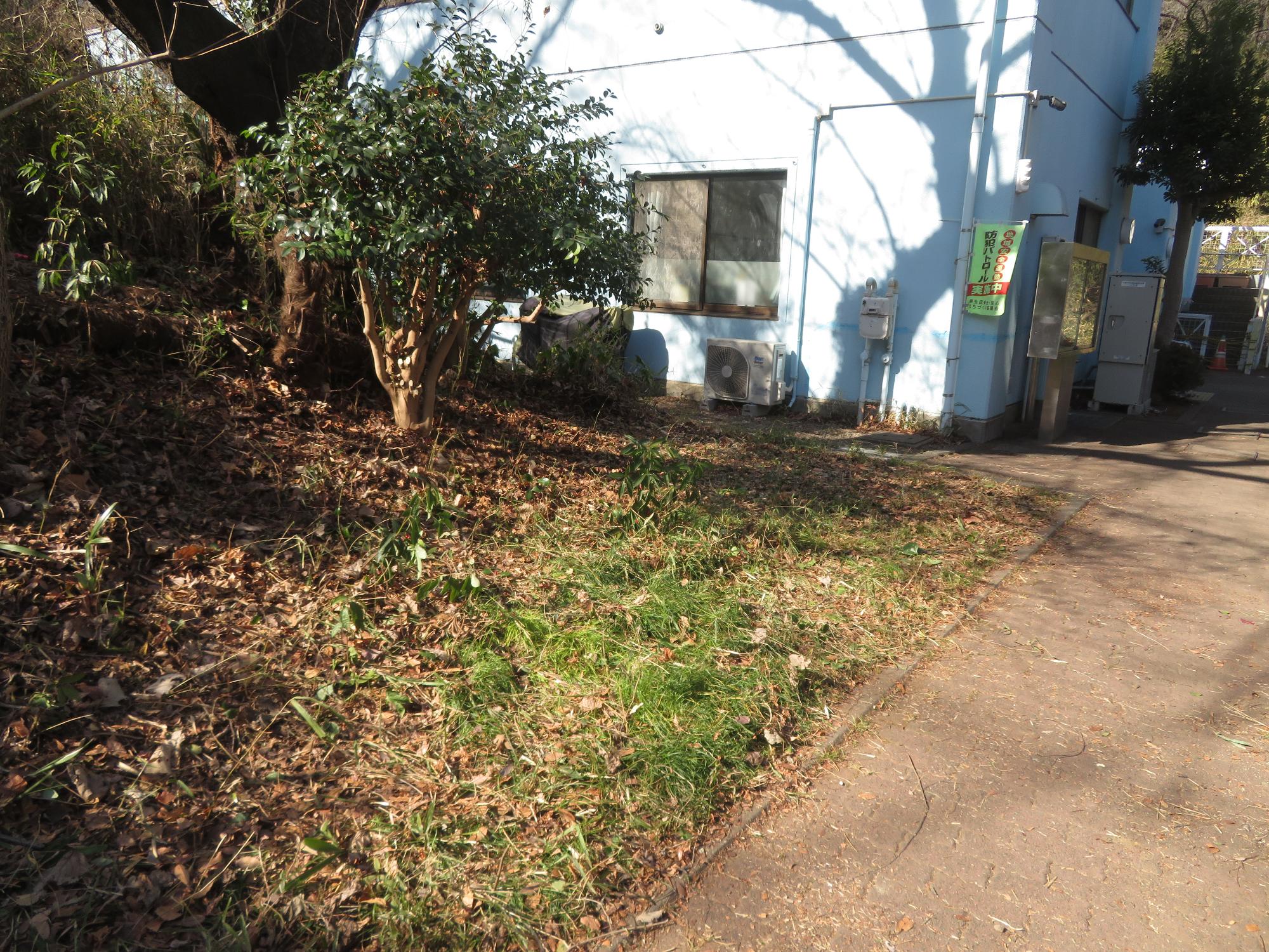 公園の緑を整備して見通しが良くなったこども文化センター前の様子