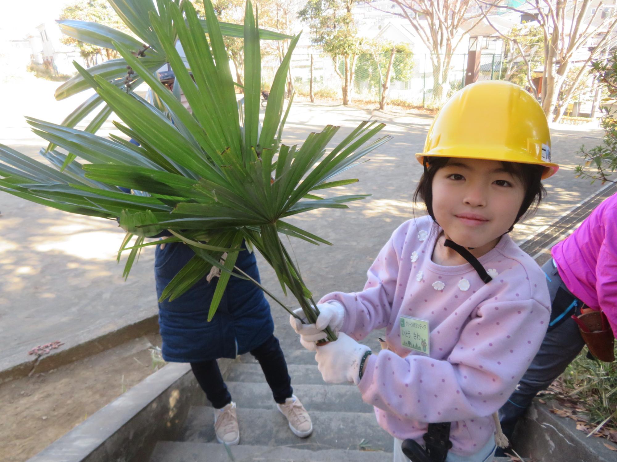大きな葉を持つ子どもの写真